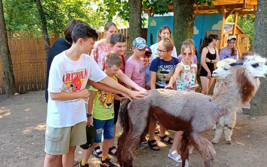 Výlet do města Most